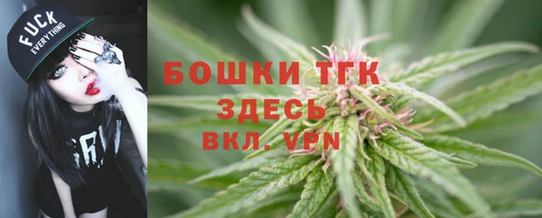 ALPHA PVP Корсаков