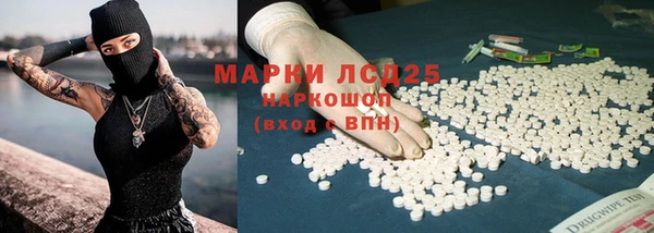 гидропоника Коряжма